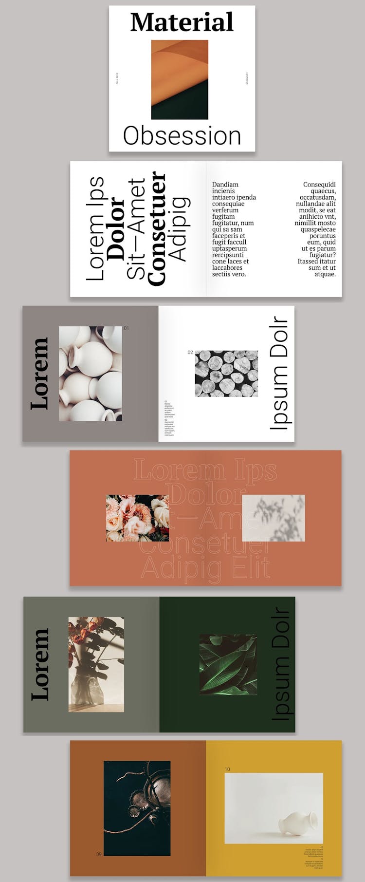 InDesign Brochure Templates Free: Modern Design Lookbook Layout