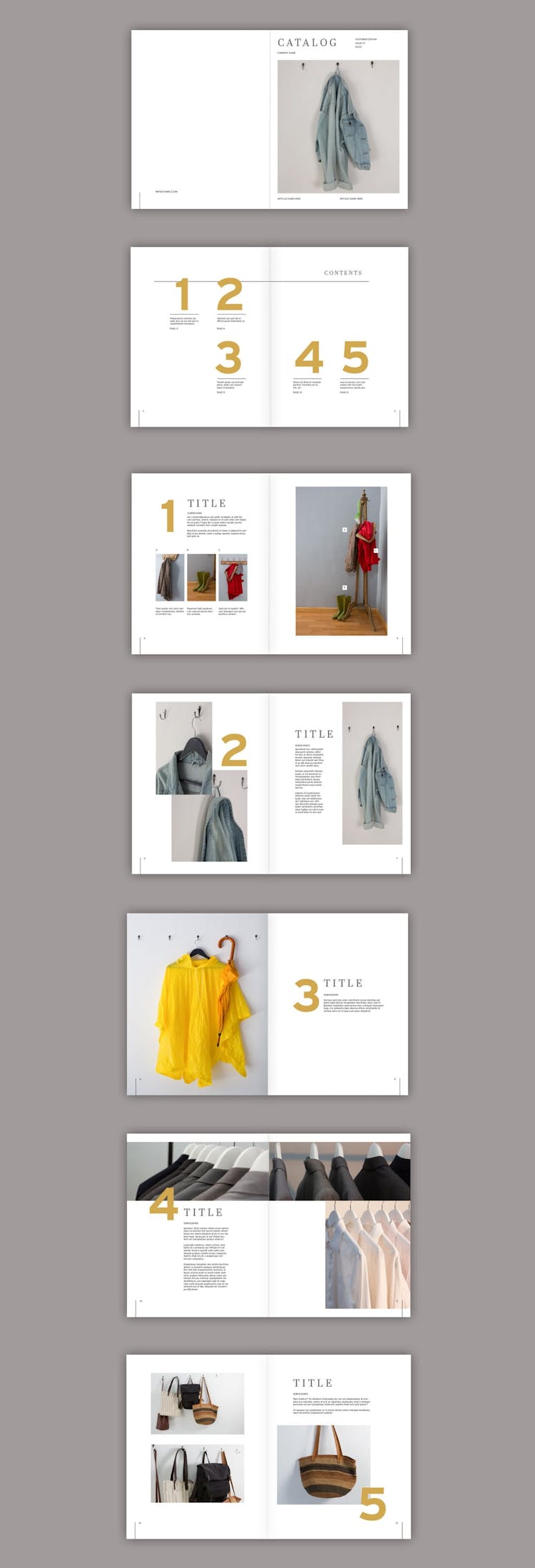 Grey and Gold Combination brochure template