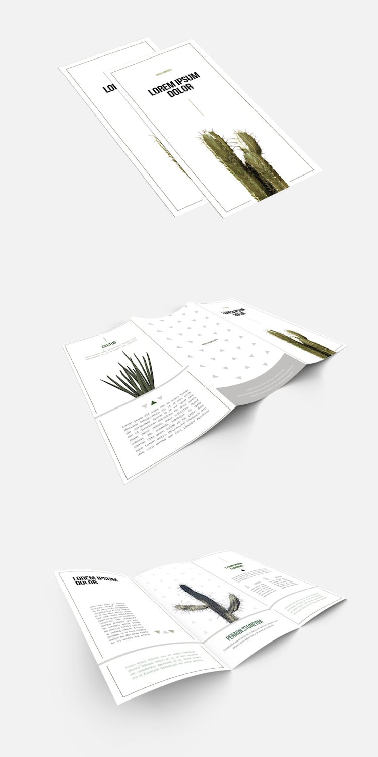 White Base Trifold Brochure template