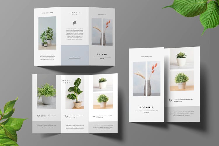 Botanical trifold brochure template